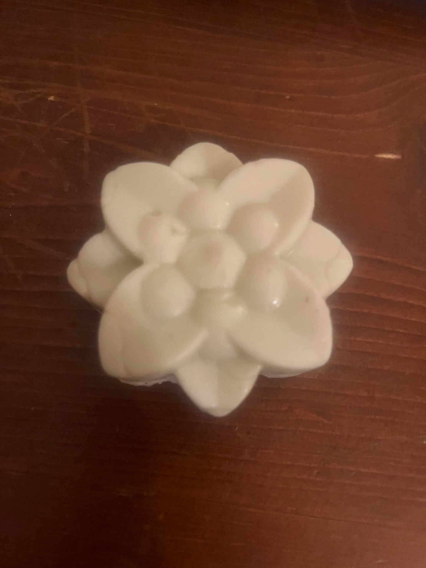 Eucalyptus Rose Solid Lotion Bar