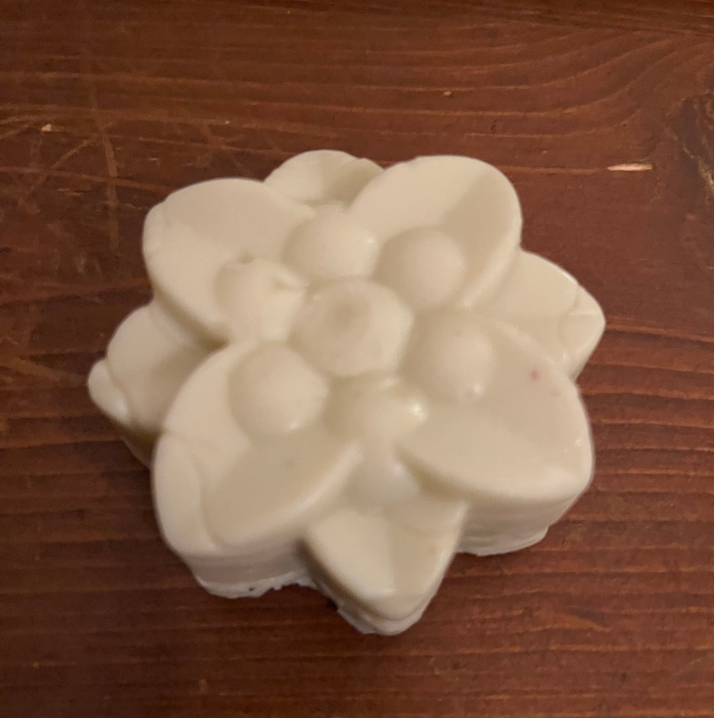 Eucalyptus Rose Solid Lotion Bar