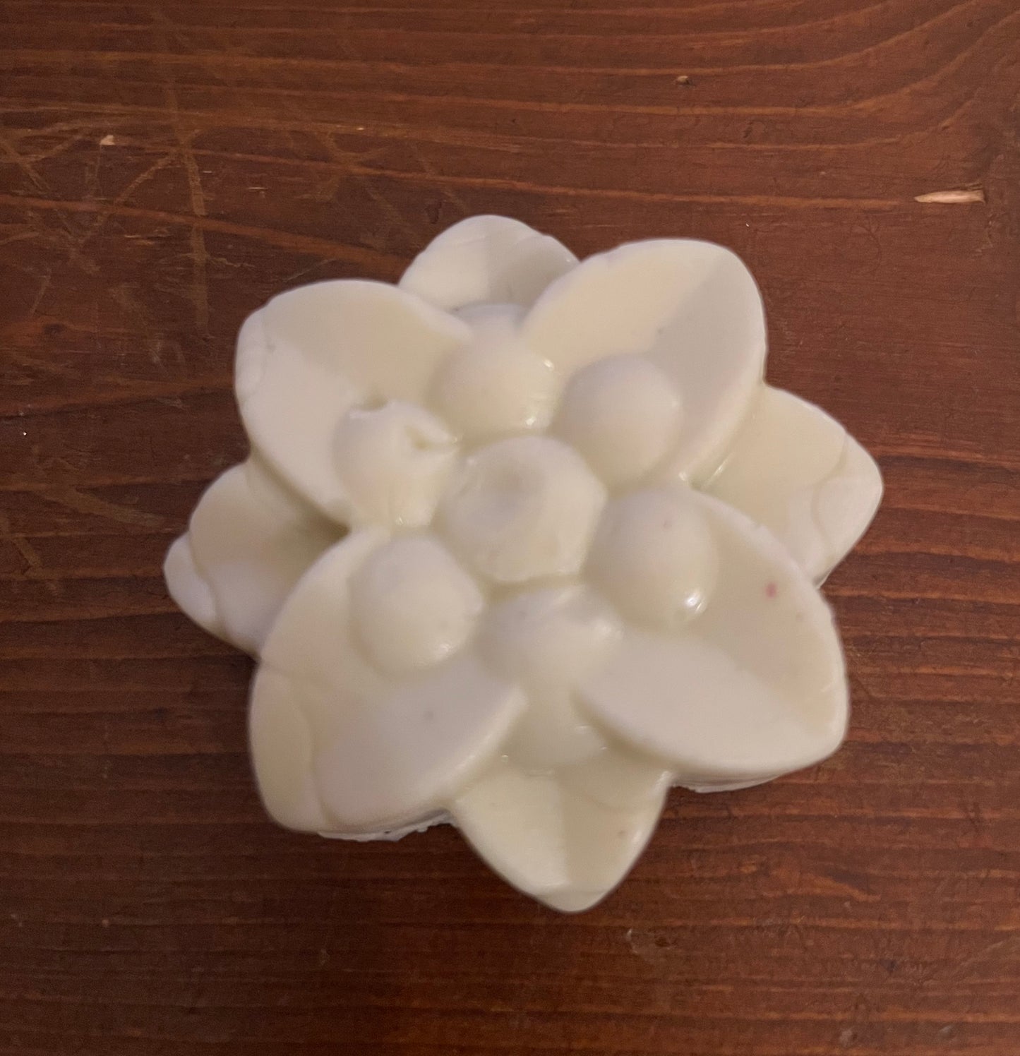 Eucalyptus Rose Solid Lotion Bar
