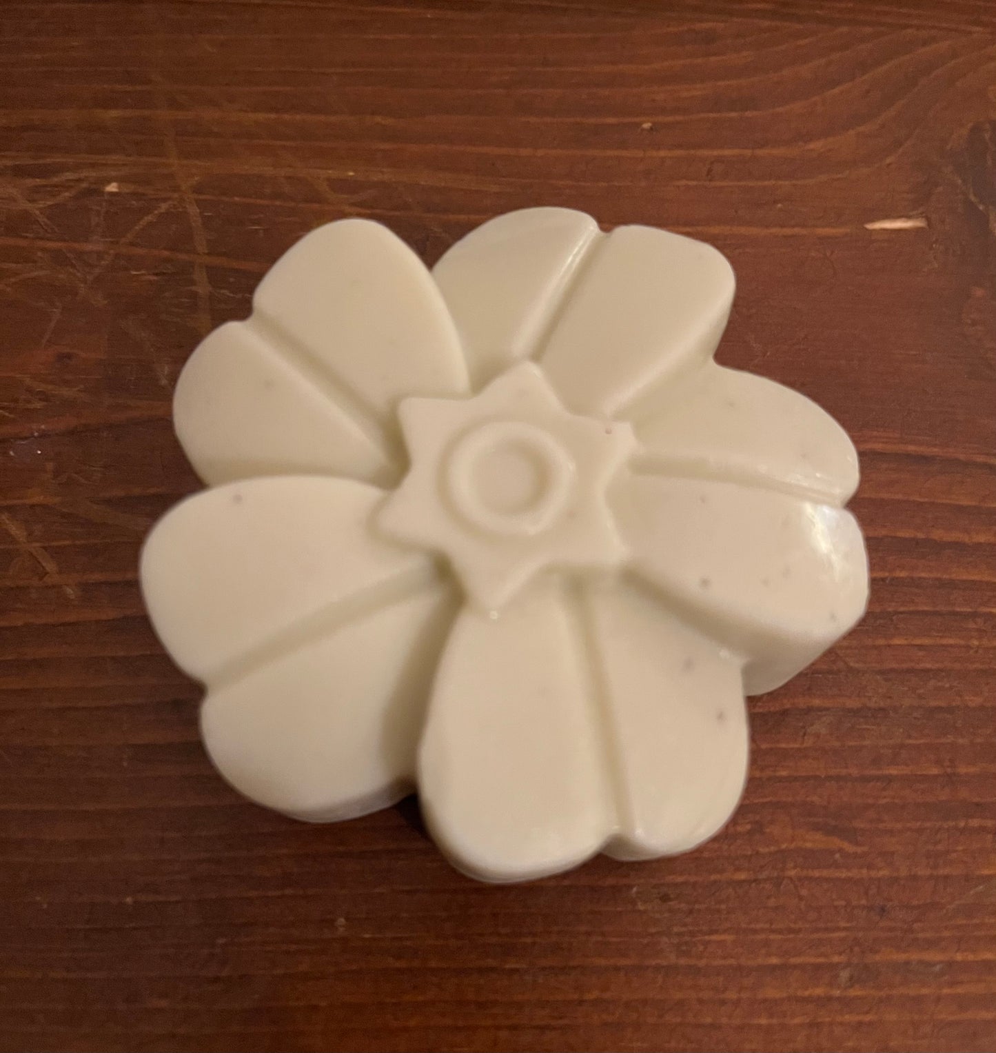 Eucalyptus Rose Solid Lotion Bar