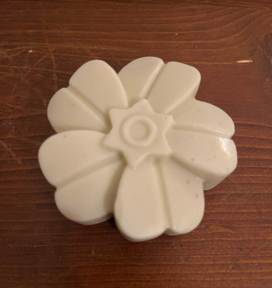 Eucalyptus Rose Solid Lotion Bar